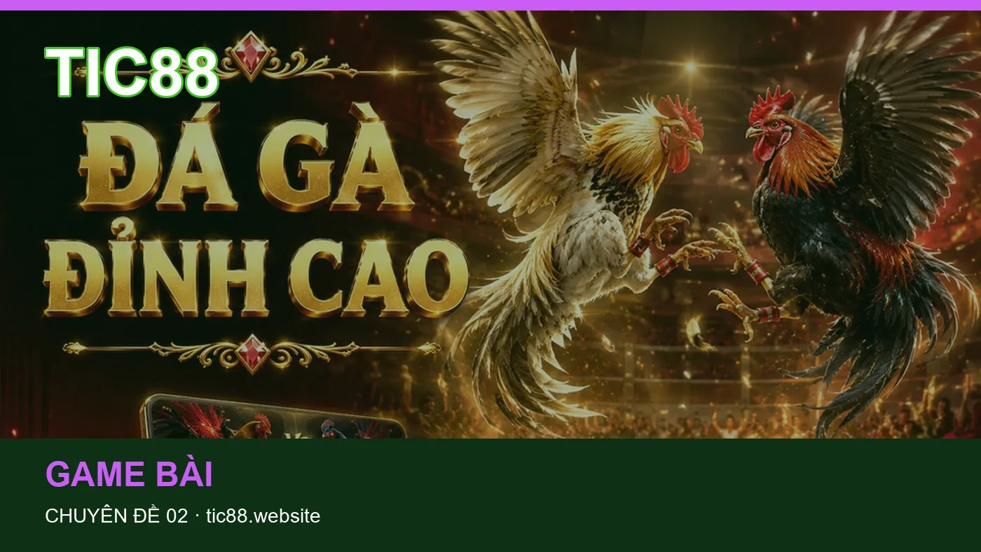 Casino trực tuyến: những thuật ngữ cần hiểu khi tra cứu TIC88
